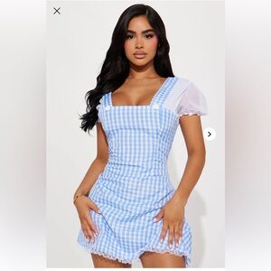 Dorothy Costume
